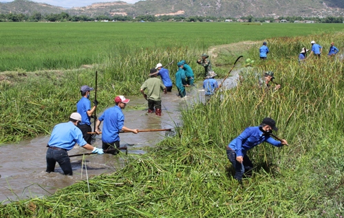  Thanh niên tình nguyện ra quân nạo vét kênh mương, khơi thông dòng chảy tại huyện Tuy Phước
